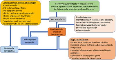 Special Considerations in the Care of Women With Advanced Heart Failure